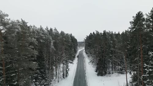 A Serene Winter Road That Is Beautifully Surrounded By Tall SnowCovered Pines in a Picturesque