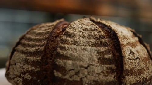 Close-up, bakery - freshly baked dark bread on a rotating surface