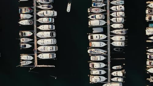 Boats docked in a marina at sunset with calm water reflections