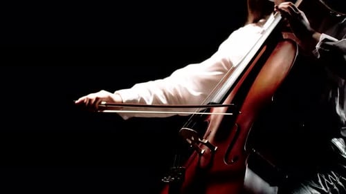 Cello Performance with String Instrument on Black