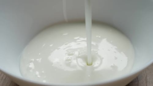 Milk Yogurt White Color Pour Into White Glass Bowl Closeup Stream of Cream Falling Into Bowl Dairy