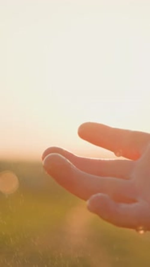 Hand Catching Water in Open Field at Sunset