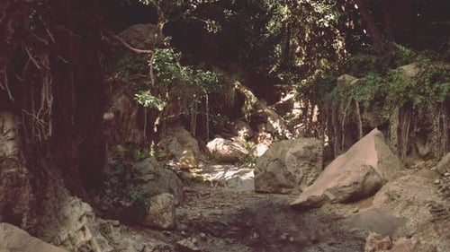 Dirt Road Cutting Through Forest Landscape Mountain Path