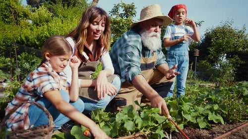 Family having fun in the vegetable garden