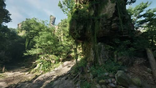 Une rivière tranquille qui traverse une forêt tropicale australienne animée