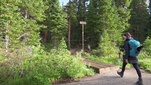 Hikers with backpacks entering forest at trailhead during the morning, static