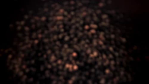 Black Pepper Flies Up and Falls Down Filmed on a Highspeed Camera at 1000 Fps