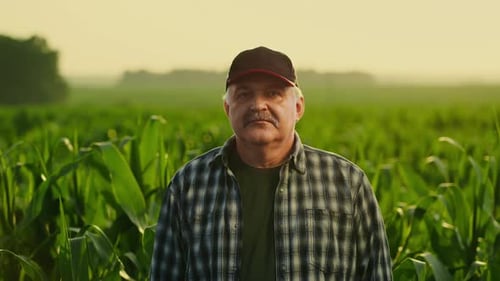 Happy Aged Farmer Standing Alone In Beautiful Landscape With Green Field Of Corn Or Maize Plants