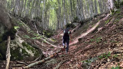 A Tourist with a Backpack Climbs a Picturesque Forest Ravine in the Form of a Tunnel Illuminated By