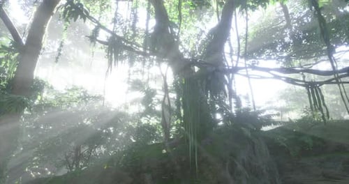 Golden Sun Rays Filtering Through a Lush Jungle Forest