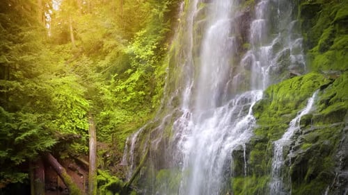 Proxy Falls in Oregon, USA