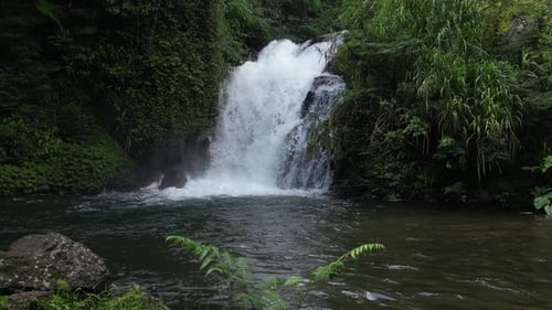 Tropical Waterfall Flowing into Lush River