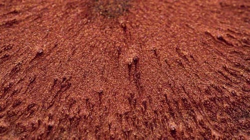 Shimmering Bronze Liquid with Bubbles Flowing