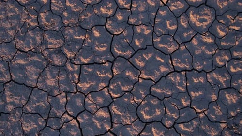 Dry Cracked Soil After Drought, Top Down View