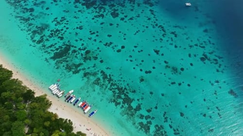 Strandkorallen und Meer auf Tropical in Thailand