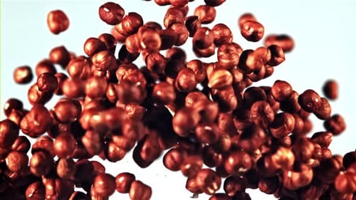 Hazelnuts Bursting Upwards on Bright Background