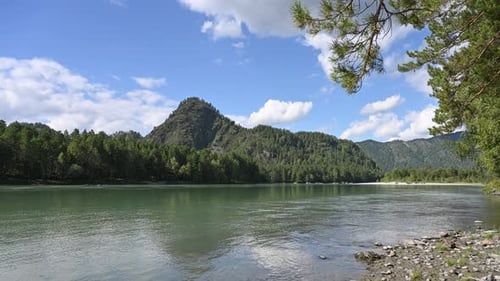 Katun River flowing among the Altai Mountains on a sunny summer day, Russia