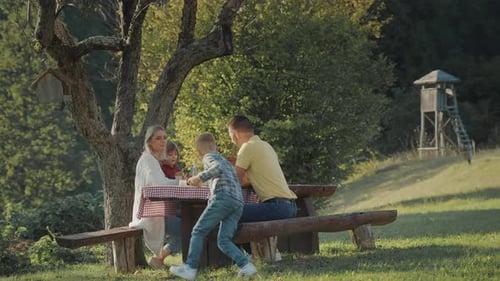 Family Enjoys Sunny Picnic in Rural Setting