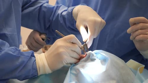 Surgical Precision Operating on the Face and Jaw Area in the Theater