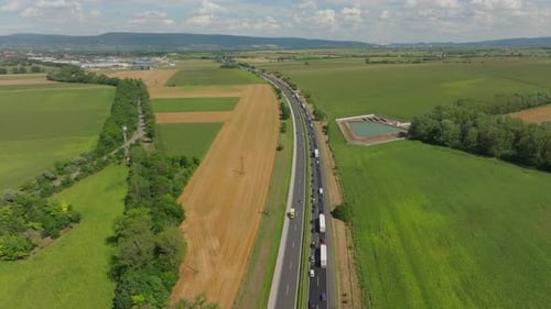 Country Road Dividing Green Expanses
