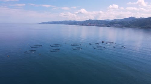 Fischteiche im Schwarzen Meer