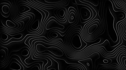 Abstract Black and White Flowing Contour Lines Background