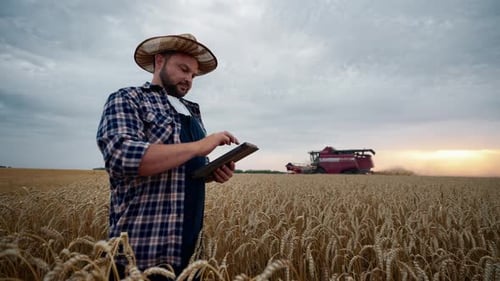 Farmer Using Tablet in Wheat Field at Sunset