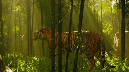 Majestic Tiger Standing in a Sunlit Bamboo Forest Animation