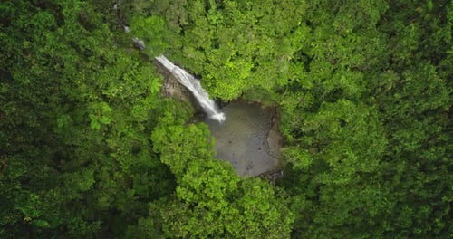 Luftaufnahme des Wasserfalls, der in den Dschungelteich stürzt, umgeben von üppigem grünem Regenwald