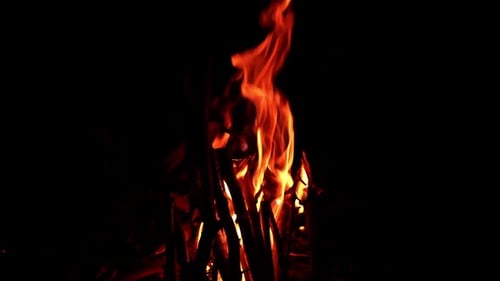 Flammenfeuer auf dunklem Hintergrund. Flammenorange leuchtet am Lagerfeuer
.