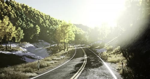 Scenic Winding Road Through Vibrant Green Forest in Daylight