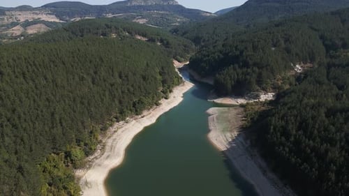 A breathtaking aerial view of a river meandering through lush, dense pine forests and mountainous te