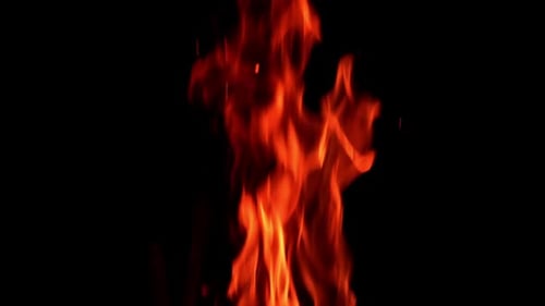 Fire flames burning and going up. Close up. Black backdrop.