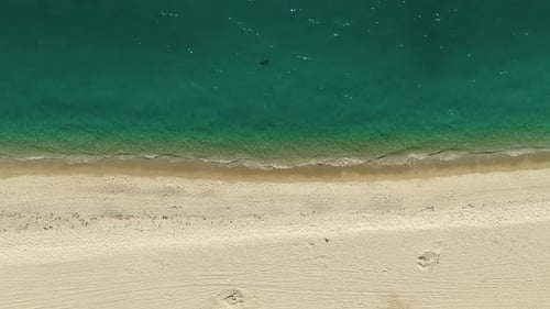 Aerial Above Shot of Empty Sandy Beach and Ocean with Waves Top Down Shot
