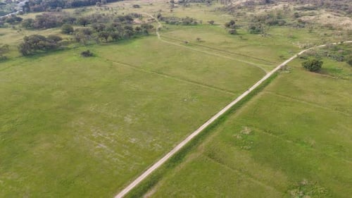 An aerial view of a vast green field with scattered trees, intersected by dirt paths winding through