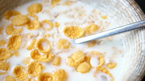 Close Up of Cereal and Milk with Spoon