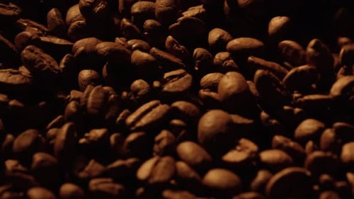 Roasted Coffee Beans Close Up Dolly Shot