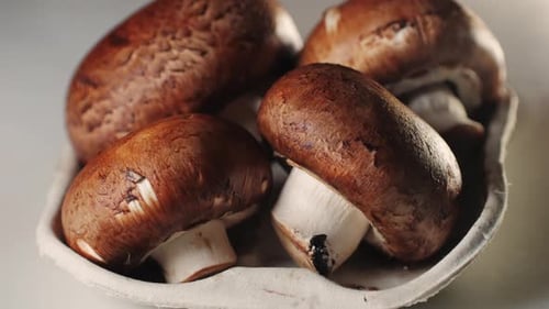 Fresh Champignon Mushrooms Big Portobello Macro Side View Background Chef Man Hold Supermarket Food