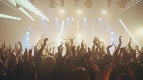 Energetic Crowd Applauding Musicians at a Concert