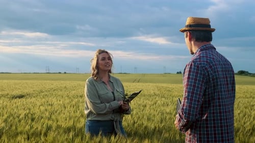Two farmers in wheat field making agreement with handshake at sunset.