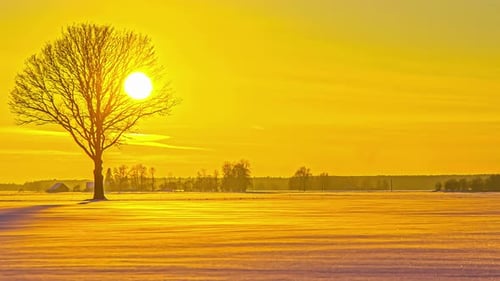 A bright yellow sunset over a field of snow and a lone tree - time lapse