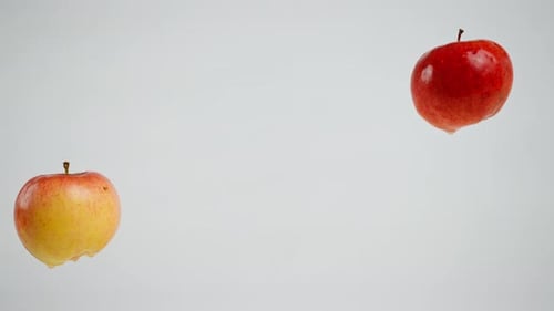 Two Fresh Apples Floating on White Background