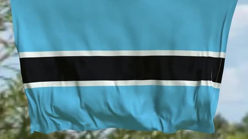 Realistic Waving Flag Logo Reveal Animation