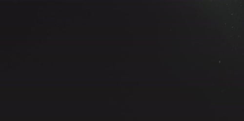 Organic Dust Particles