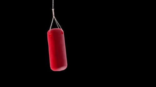 Bolsa de boxeo Hang