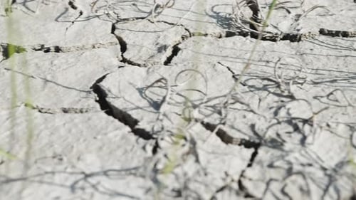 Cracked Dry Soil in Arid Desert Landscape