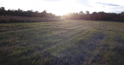 Reibungsloser Luftflug über grüne Felder bei Spitzenlaub, mit einem hellen Sonnenuntergang im Hintergrund