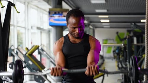 Athletic African American Man Trains with Barbell Pumping His Biceps A Man Trains in the Gym