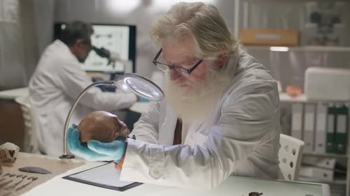 Elderly Archaeologist Analyzing Ancient Skull and Taking Notes at Desk