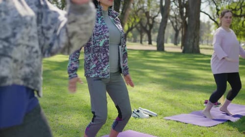 Women Exercising Together on Yoga Mats in Park